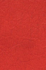 New York Piñatex® Belt Bag in Cherry Red