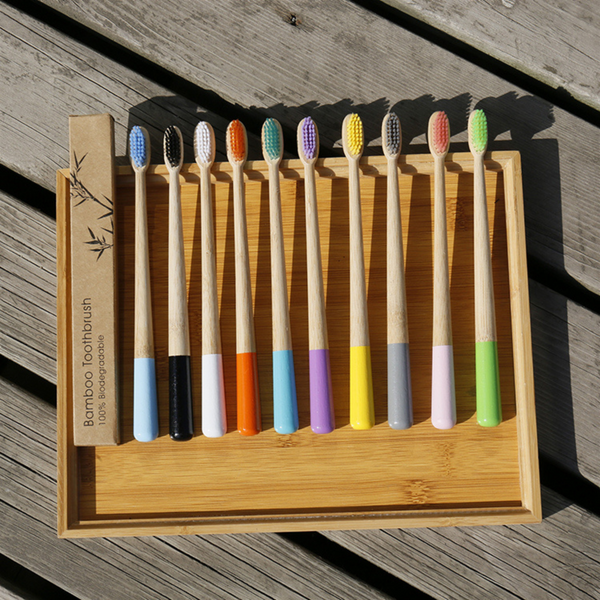 Lots of different colours of bamboo biodegradable toothbrushes