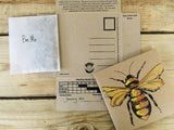 Bee Flower seed Mix