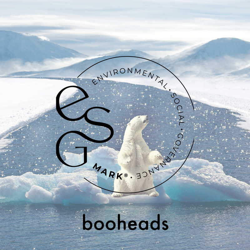 Soniboo - Bamboo Electric Toothbrush Heads Compatible with Sonicare* | Deep Clean 2PK